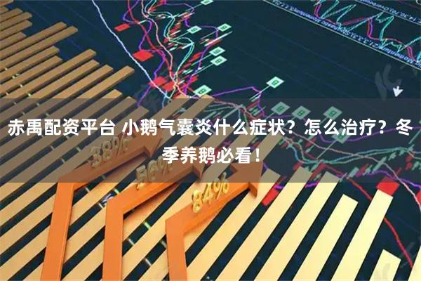 赤禹配资平台 小鹅气囊炎什么症状？怎么治疗？冬季养鹅必看！