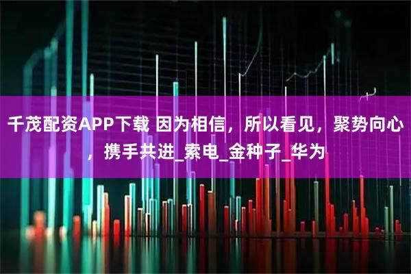 千茂配资APP下载 因为相信，所以看见，聚势向心，携手共进_索电_金种子_华为