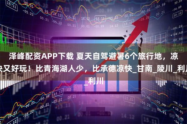 泽峰配资APP下载 夏天自驾避暑6个旅行地，凉快又好玩！比青海湖人少，比承德凉快_甘南_陵川_利川