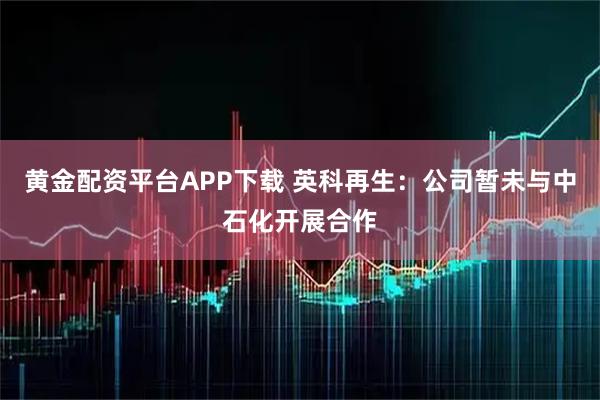 黄金配资平台APP下载 英科再生：公司暂未与中石化开展合作